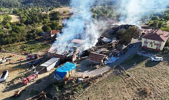Kastamonu'da 14 büyükbaş hayvanın telef olduğu yangın söndürüldü