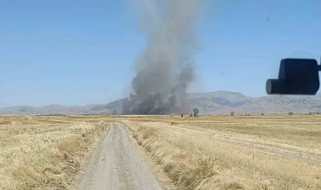 Yangında 100 dekar tarım arazisi zarar gördü