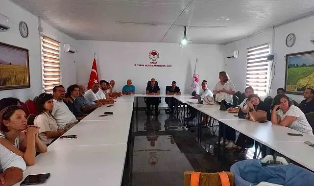 Hatay'da turunçgillerde doğru hasat uygulamaları anlatıldı