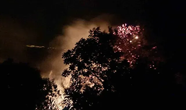 Alanya'da gece saatlerinde çıkan orman yangını kontrol altına alındı