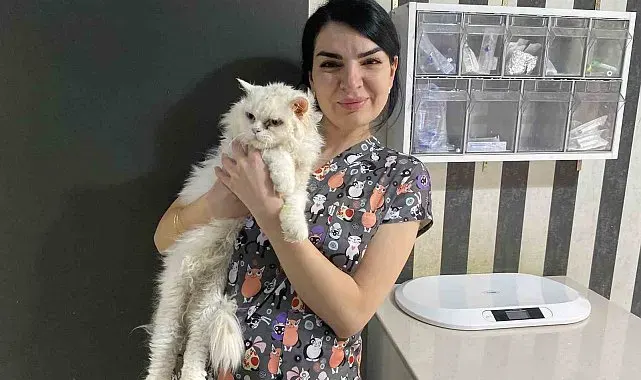 Evcil hayvanlarınızı evde tek bırakırken dikkat