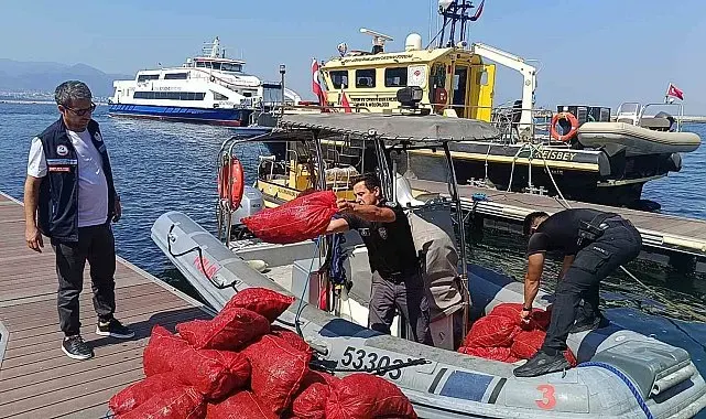 İzmir'de yasa dışı kara midye operasyonu: 560 kilogram midye denize iade edildi