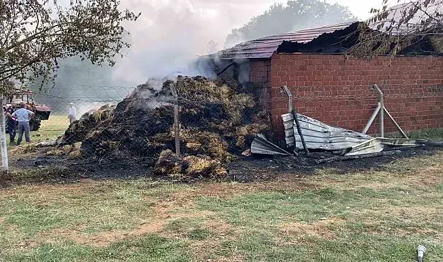 Bursa'da samanlık alevlere teslim oldu
