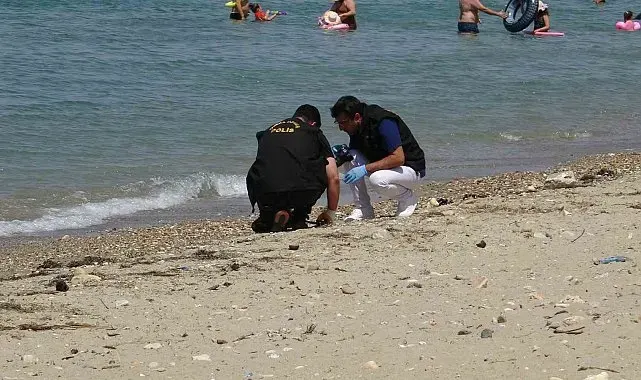 Çanakkale'de plajda savaştan kalma olduğu değerlendirilen askeri mühimmat bulundu