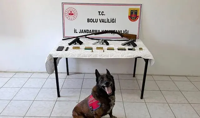 Bolu'da evinde silah ve mühimmat bulunan şüpheli tutuklandı