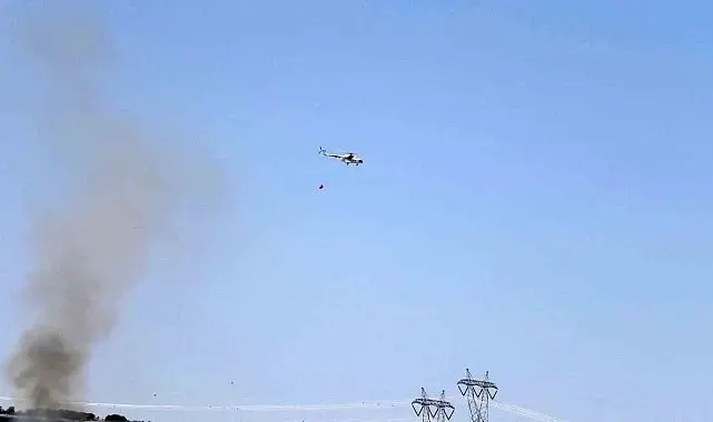 Adıyaman'da orman yangını: Havadan ve karadan müdahale edildi
