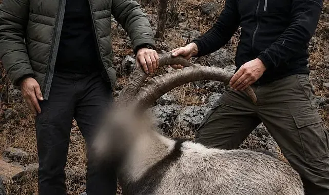 Siirt'te koruma altındaki 5 yaban keçisini avlayanlara ceza