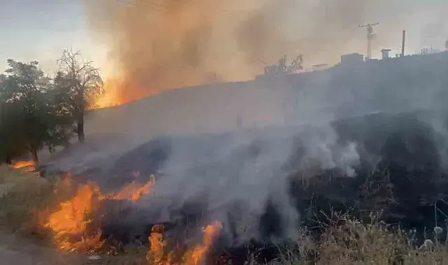 Elazığ'da otluk alanda çıkan yangın söndürüldü