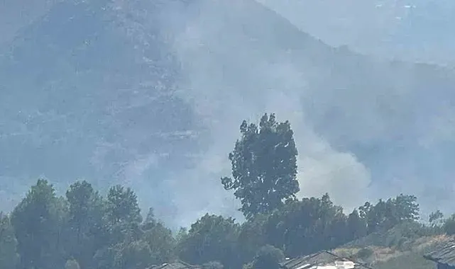 Dalaman'da orman yangını