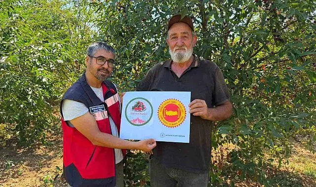 Şaphane vişnesi için tescil çalışmaları sürüyor
