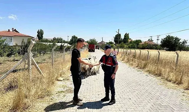 Hayvanları kaybolan çiftçinin yardımına Jandarma ekipleri koştu