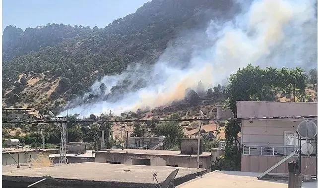 Siirt'te orman yangını büyümeden kontrol altına alındı