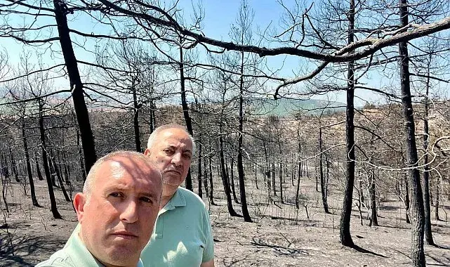 Mimarlar Odası Başkanı Şahin: "Ormanlarımızı alevler kadar ihmaller de yakıyor"