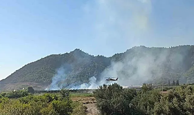 Dalaman'da tarım alanındaki yangın kısa sürede söndürüldü