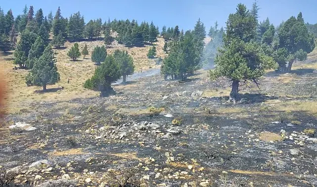 Kahramanmaraş'ta iki orman yangını kontrol altına alındı