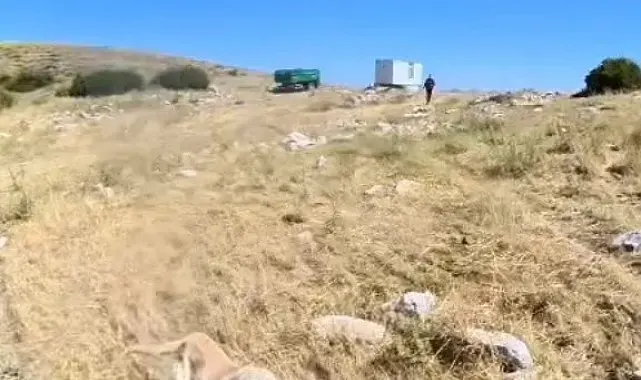 Aladağlar'da BASE Jump sporcusuna çoban köpekleri saldırdı