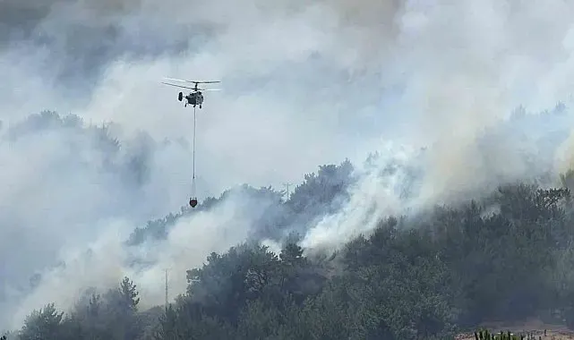 Balıkesir'de tek yangın cephesi: Gömeç