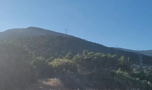 Eğirdir'deki orman yangını kontrol altına alındı: 10 hektar alan zarar gördü