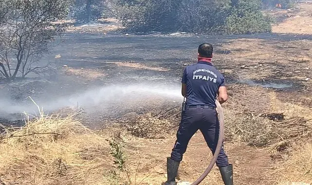 Makilik alanda çıkan yangın büyümeden söndülürdü
