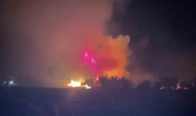 Serik'te çıkan orman yangınına ilk müdahaleyi vatandaşlar yaptı