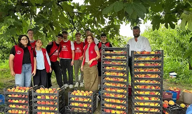 Çarşamba'da 'Gönüllü Hasat Etkinliği'
