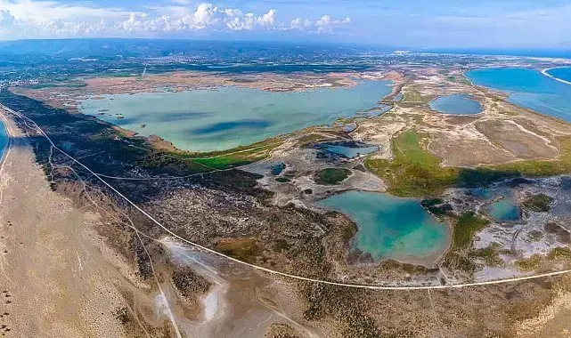 Deniz kaplumbağaları koruma alanında kural ihlallerine 699 bin TL ceza