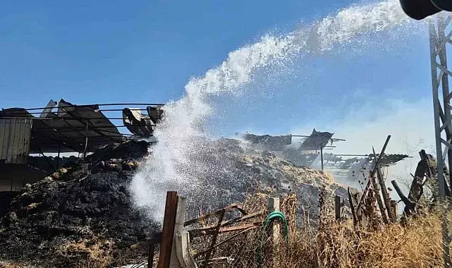 Balıkesir'de ahır yangını