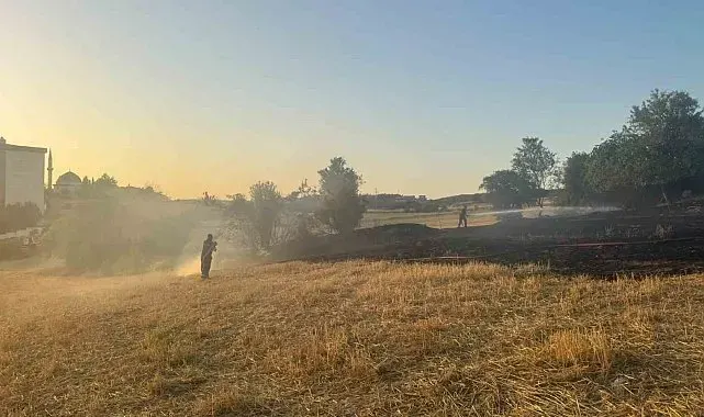 Bilecik'te arazi yangını