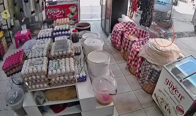 Kamyonetin altında kalan 4 yaşındaki çocuk emekleyerek çıktı