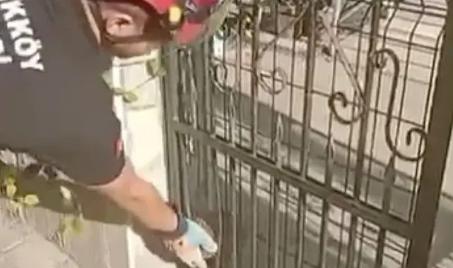 Demir kapıya sıkışan kirpiyi böyle kurtardılar