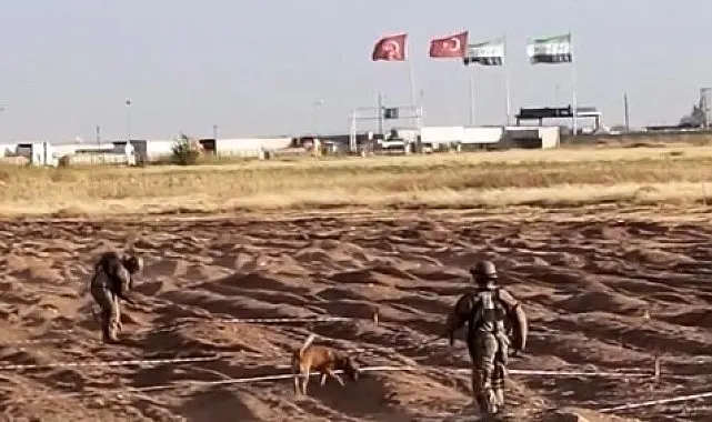 Öncüpınar Sınır Hattı'nda mayın temizleme çalışmaları sürüyor