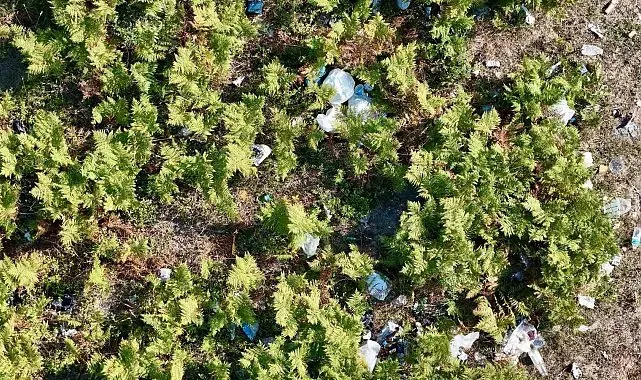 Ormana girişler yasak ama Kızıltepe'yi çöplüğe çevirdiler: Yangın riski havadan görüntülendi