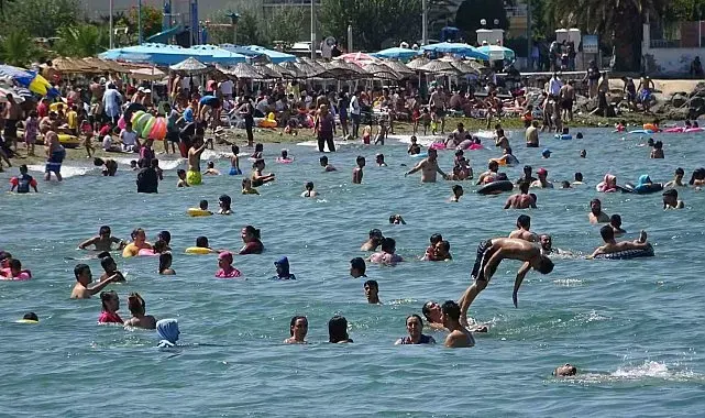 Bursa'nın sahillerinden Temmuz ayında da sevindiren haber