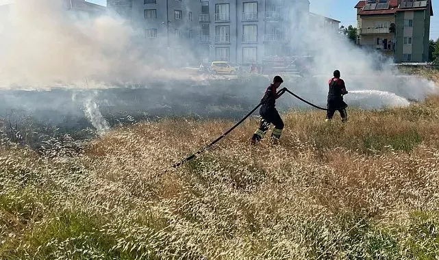 Rüzgarın etkisiyle büyüyen ot yangını evlere ulaşmadan söndürüldü