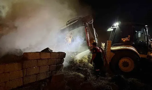 Iğdır'da 2 bin balya alevlere teslim oldu