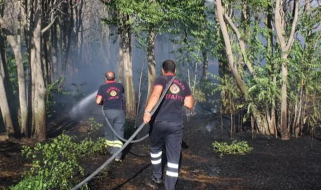 Sıcak hava yangın riskini artırdı