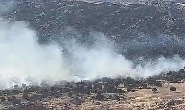 Adıyaman'da ormanlık alanda yangın