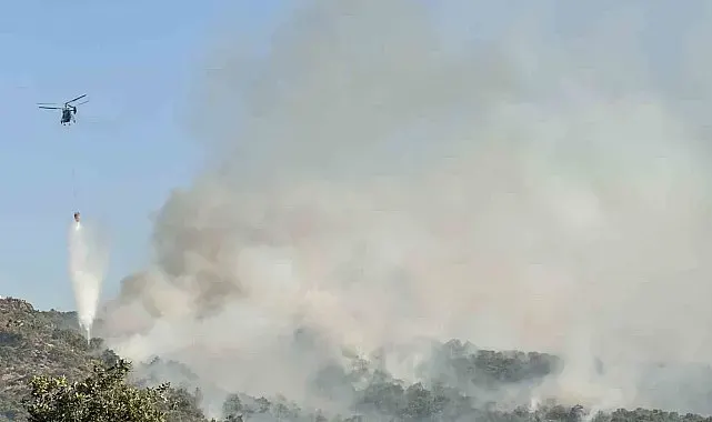 Uşak'ta meşelik alanda çıkan yangına müdahale sürüyor