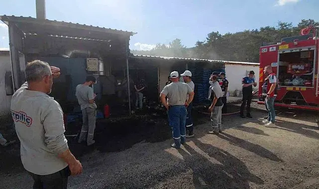 Bolu'da Erpiliç kümeslerinde yükselen dumanlar itfaiyeyi alarma geçirdi