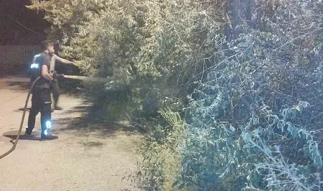 Van'da bahçe yangını korkuttu