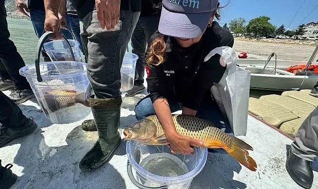 Eğirdir Gölü'ne 100 bin pullu sazan yavrusu bırakıldı