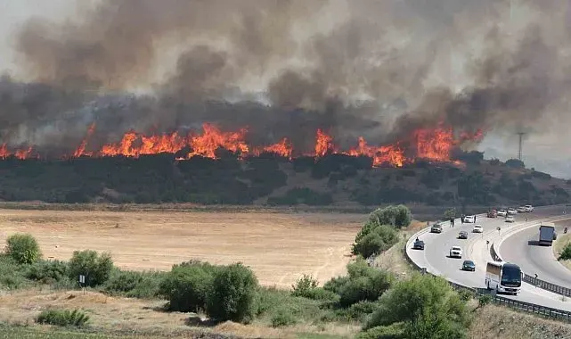 Çanakkale'de 4 gün boyunca orman yangını alarmı