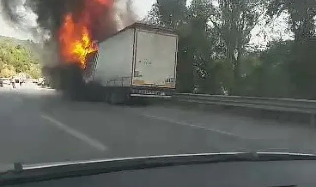 Gemlik'te tır yangını