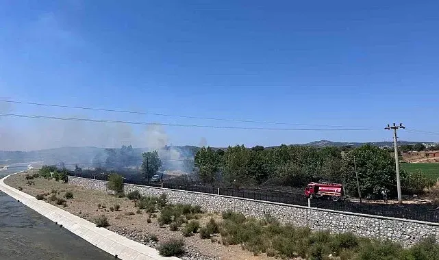 Ayvacık'ta otluk alanda çıkan yangın söndürüldü