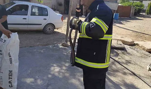 Yatak odasında çığlık attıran görüntü