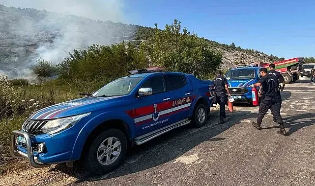 Elektrik direğinden çıkan kıvılcım orman yangınına sebep oldu