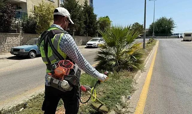 Aydın Büyükşehir'den Çeştepe'de park ve yeşil alanlara bakım