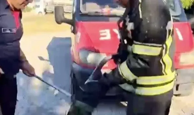 Evin bahçesine giren yılan itfaiye ekiplerini peşinden koşturdu