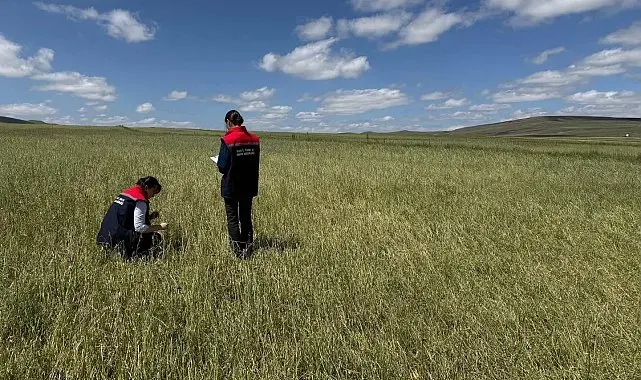 Kars'ta doğal afet sonrası seferberlik: Tarım ekipleri hasar tespiti için sahada