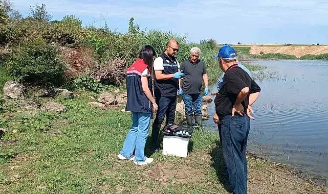 Edirne'de toplu balık ölümlerinin yaşandığı göletten numune alındı
